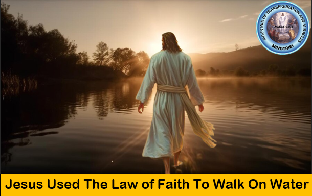 Law of faith