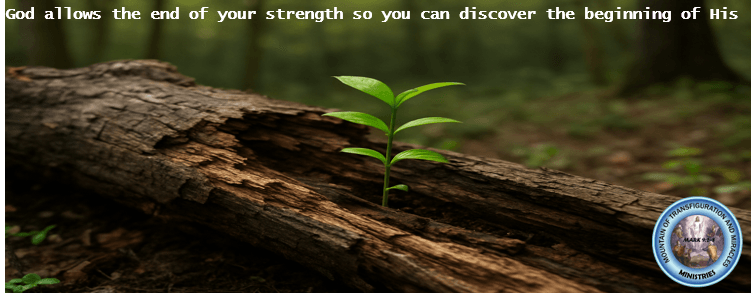 When All Hope Is Lost What To Do Now